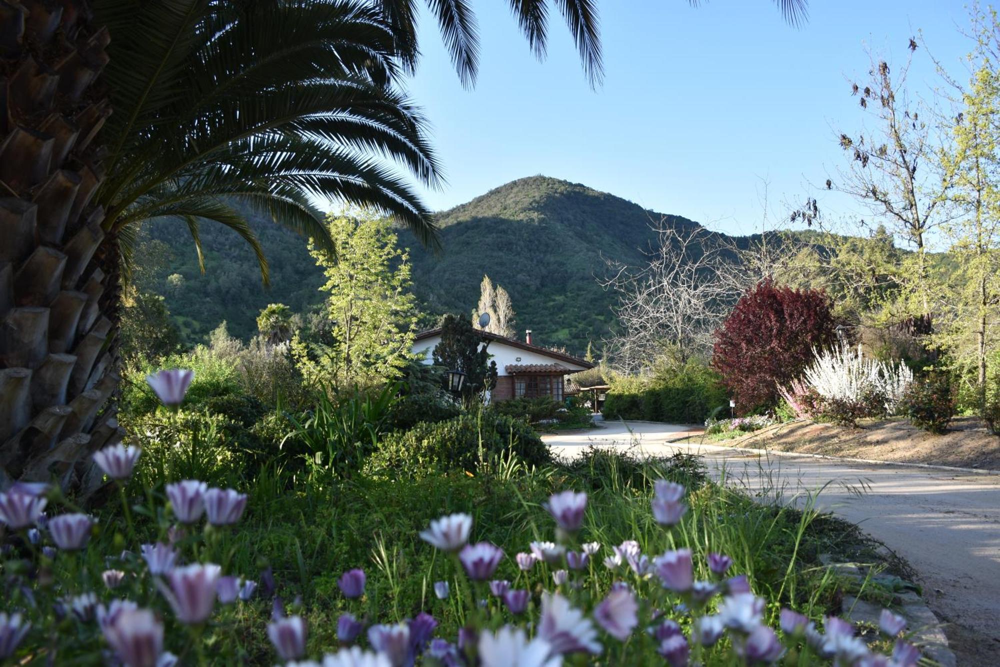 Hotel Boutique Solaz Bella Vista De Colchagua Santa Cruz Eksteriør bilde