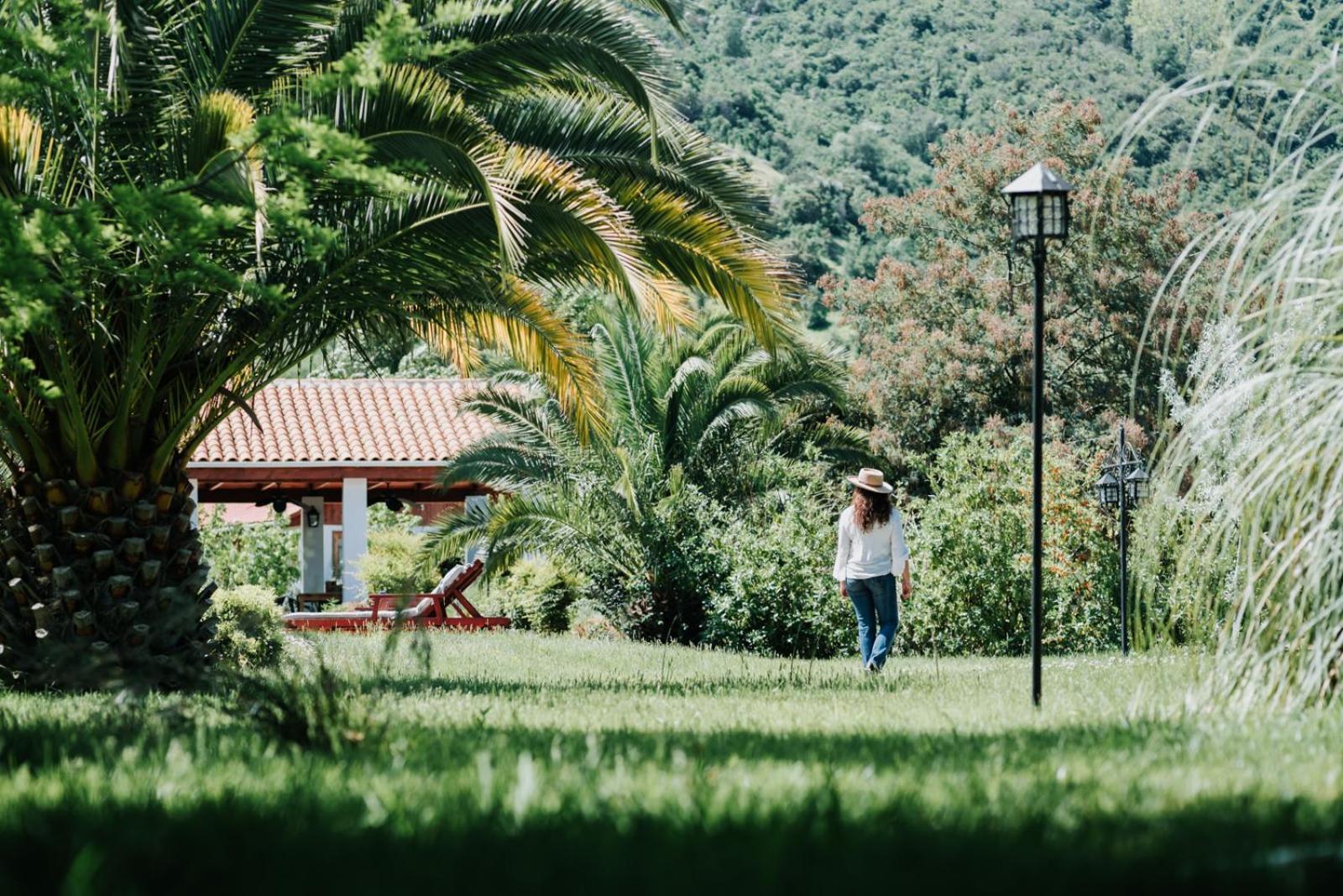 Hotel Boutique Solaz Bella Vista De Colchagua Santa Cruz Eksteriør bilde