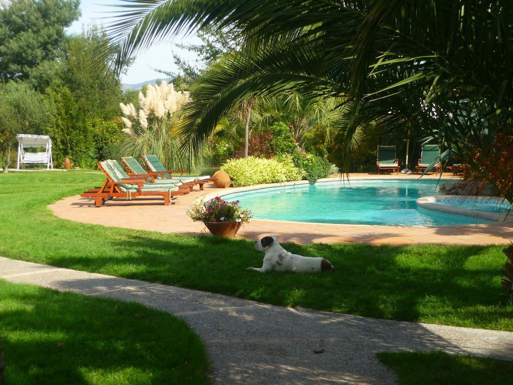 Hotel Boutique Solaz Bella Vista De Colchagua Santa Cruz Eksteriør bilde