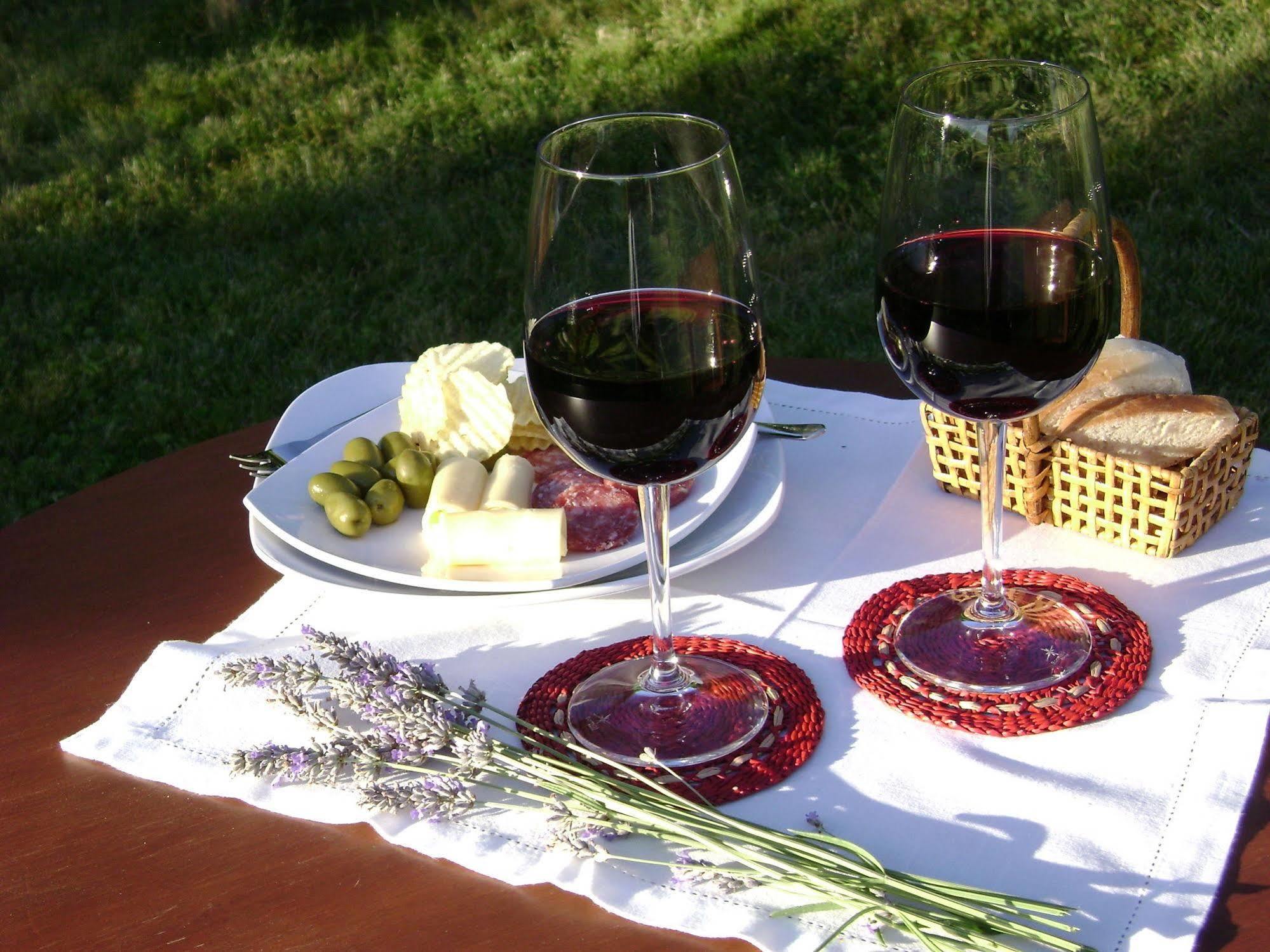 Hotel Boutique Solaz Bella Vista De Colchagua Santa Cruz Eksteriør bilde